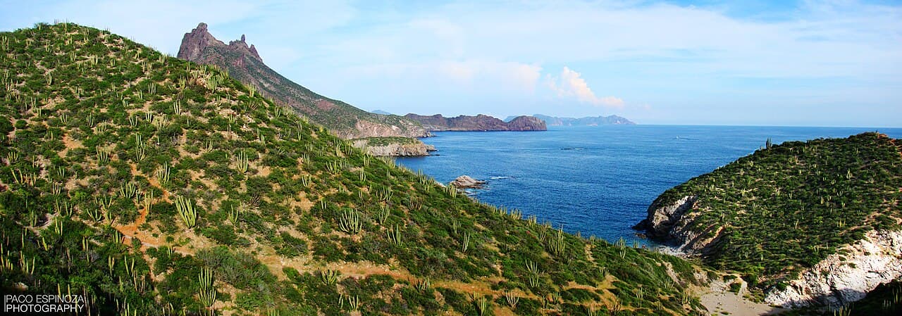 Casa Cotton Cove